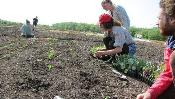 holma highschool farming edit - school governance - Sociocracy For All