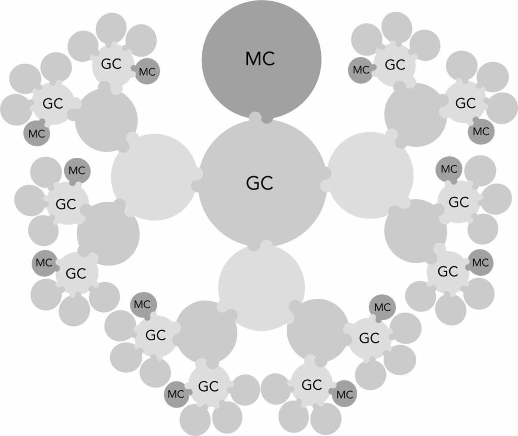 Organizational chart, circles with double-links