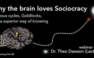 Sociocracy and the brain