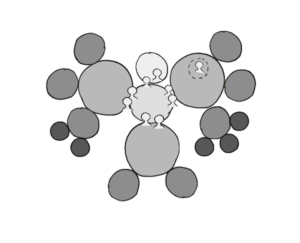 A diagram of sociocratic circles with double  linking.