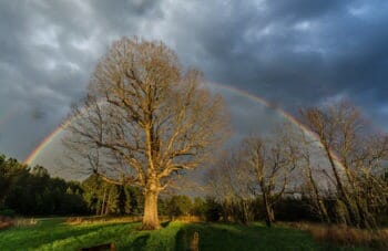 Hart’s Mill: Ecovillage and Farm sociocracy case study