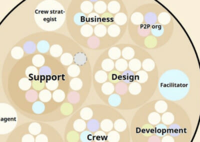 Peer-to-Peer Governance in a for-profit organization