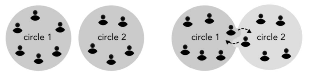 two circles with double links in sociocracy