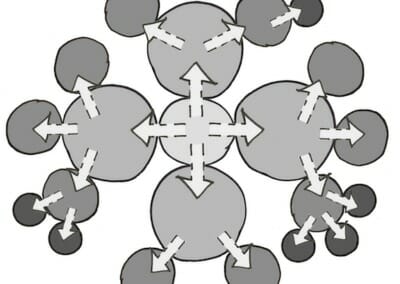 Organizational structure in sociocracy