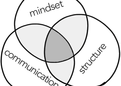 You only need _________ to fix how organizations are run
