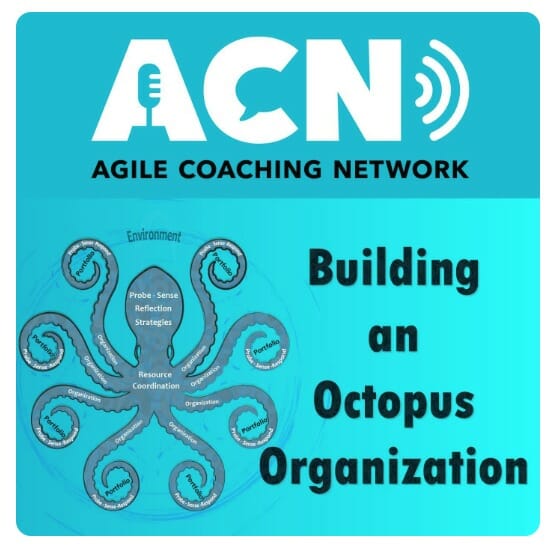 Agile Coaching Network. Building an octopus organization and supporting sustainability