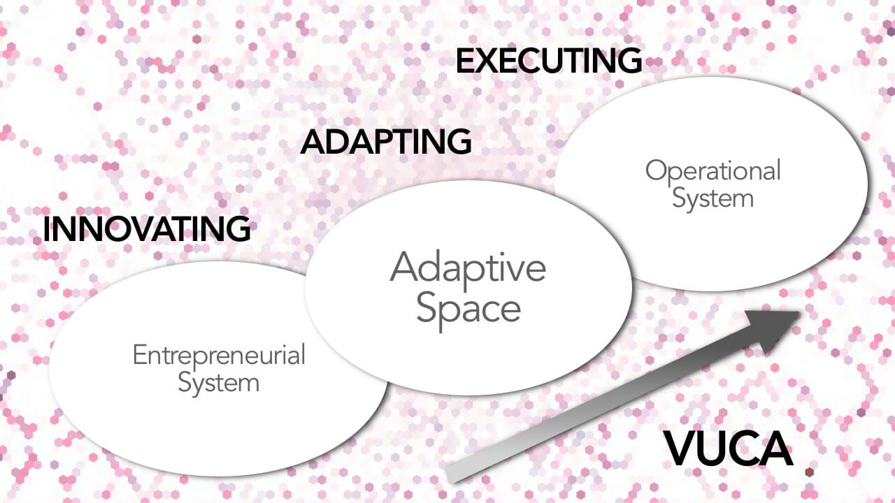 How could Sociocracy help us reinvent our world in a context of complexity?