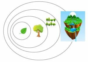 Aligned alive strategy 1 1 - strategy in sociocracy - Sociocracy For All