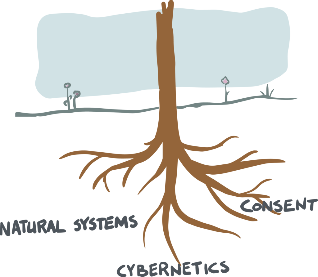 Image1 - sociocracy - Sociocracy For All