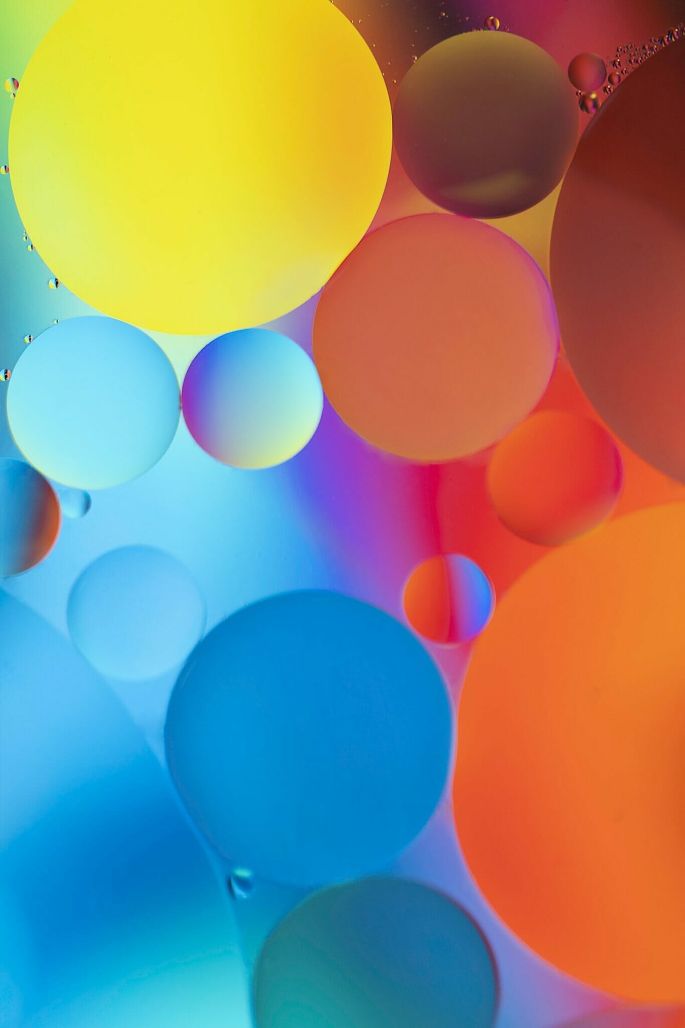 dustin humes oTwMc6H 1RE unsplash - - Sociocracy For All