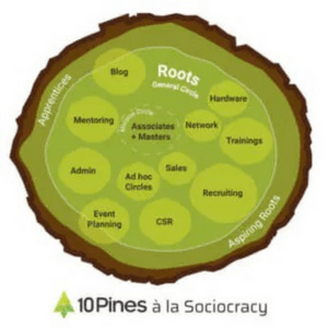 - what is sociocracy - Sociocracy For All