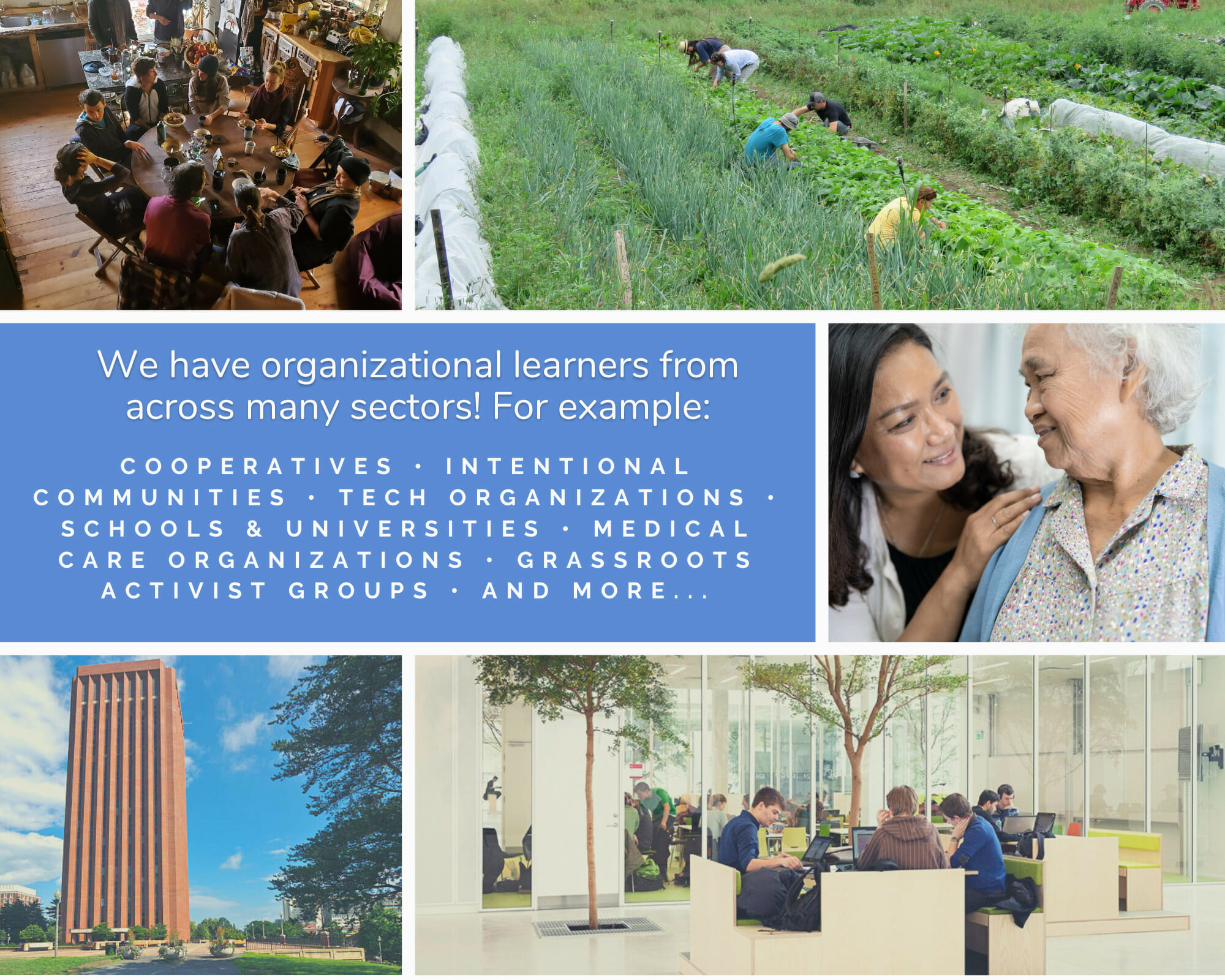 OM site photo collage3 - organizational learners - Sociocracy For All