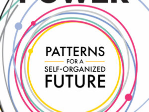 cover of Collective Power: Patterns for a self-organized future by Ted J Rau