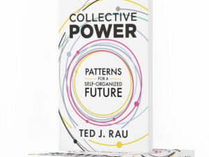 cover of Collective Power: Patterns for a self-organized future by Ted J Rau, print version