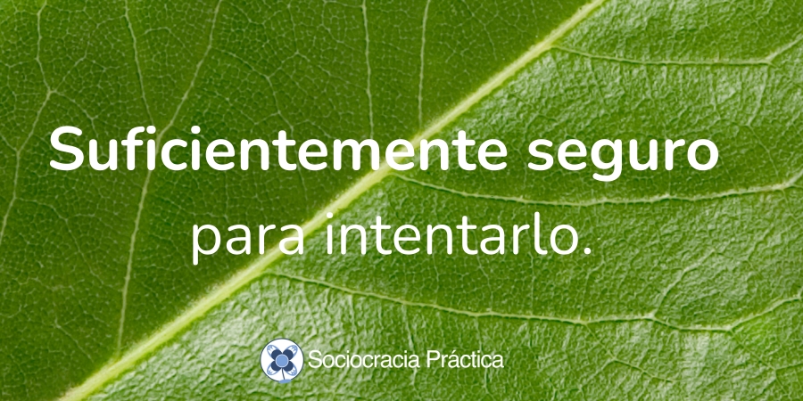 Suficientemente seguro para intentarlo - - Sociocracy For All