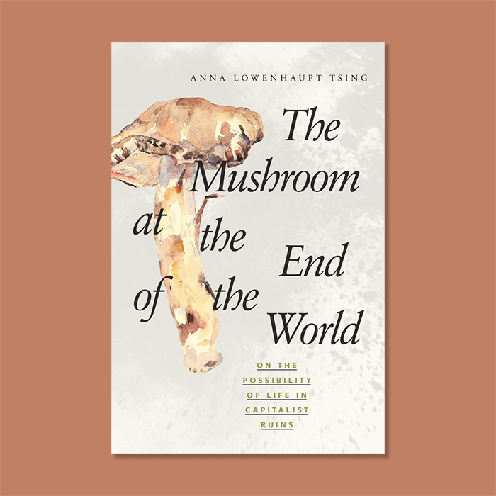 the mushroom at the end of the world - SoMBu - Sociocracy For All