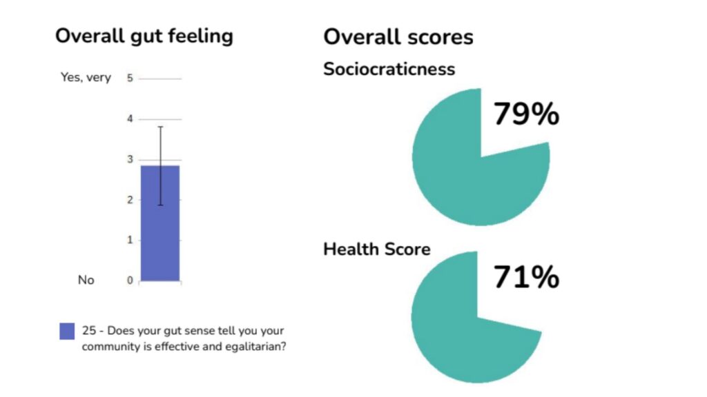 Org Assessment Report - Sociocracy assessment,Healthy governance - Sociocracy For All