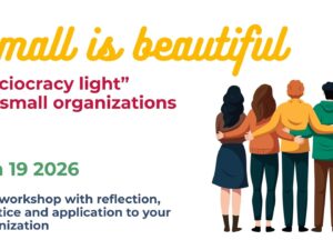 Small is Beautiful: “Sociocracy light” for small organizations
