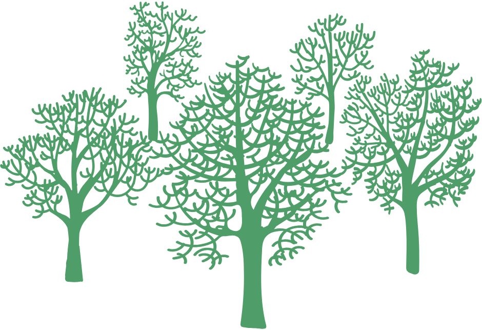 SoFAEN image trees - gestión participativa - Sociocracy For All