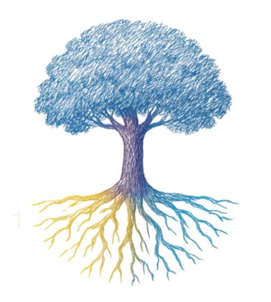 OL page tree 2 - organizational learners,sociocracy subscription - Sociocracy For All