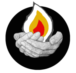 Lucidlife logo